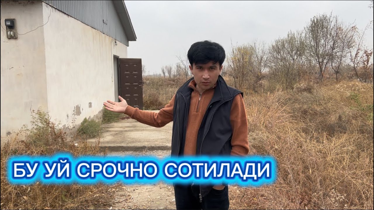 АРЗОН НАРХДА КИЧКИНА ХАВЛИ СОТИЛАДИ 