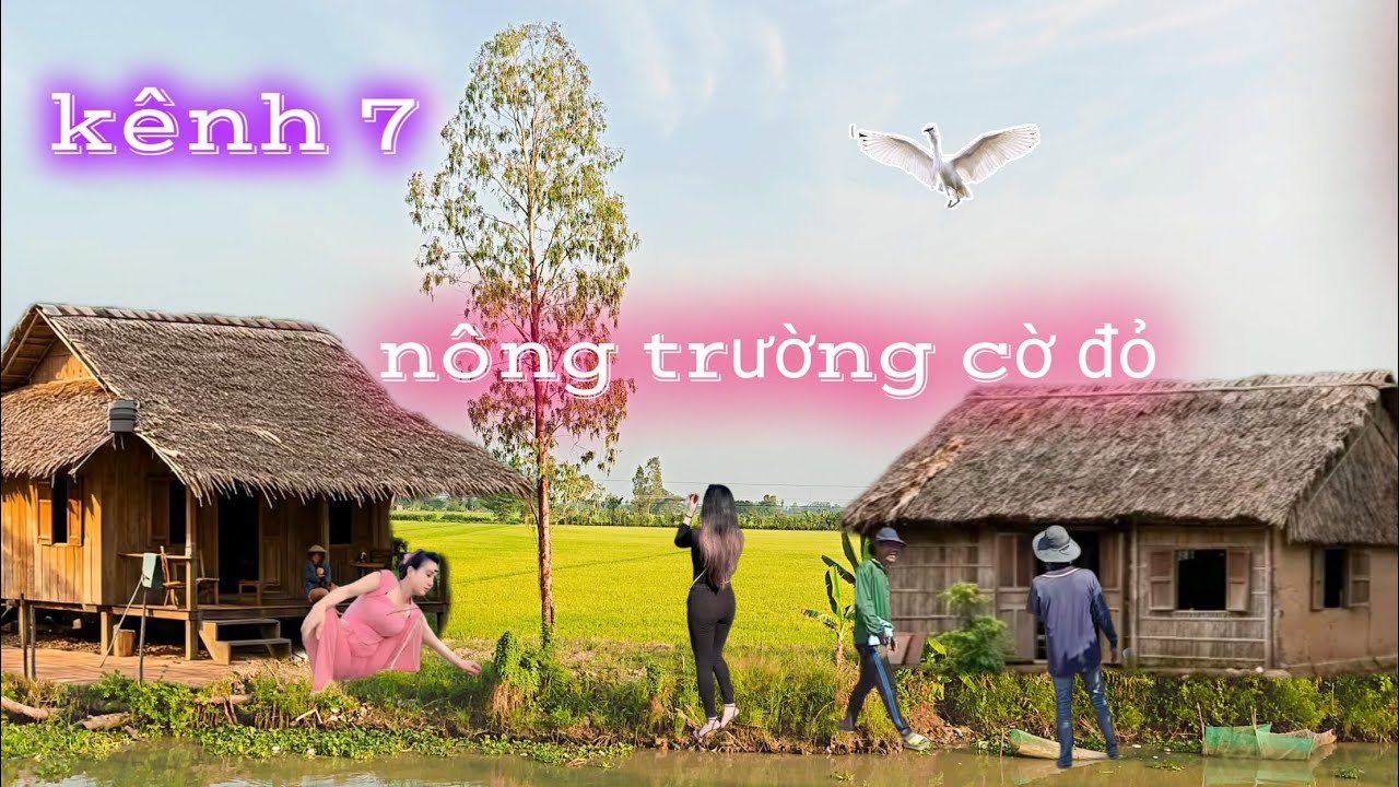 Kênh 7 nông trường cờ đỏ 