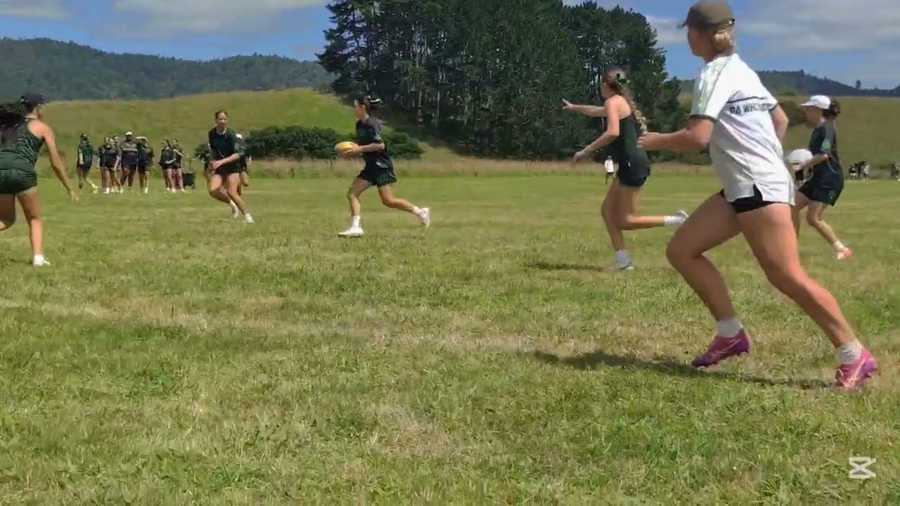 Mataatua v NHEW o Wainuiomata