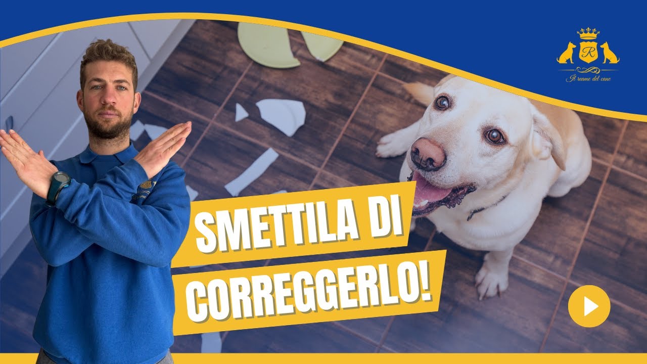 Smetti di correggere il tuo cane: ti spiego cosa fare davvero!