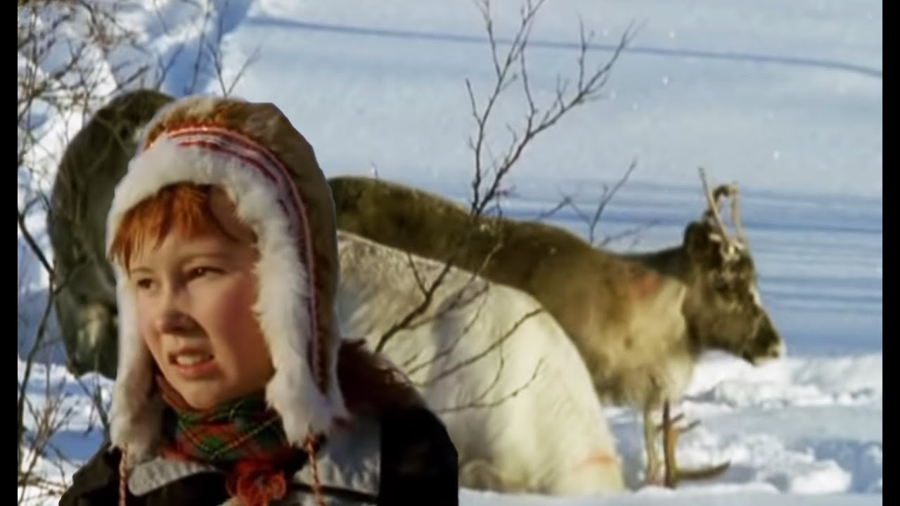 Herding the Reindeer | Reindeer Girls | BBC Earth