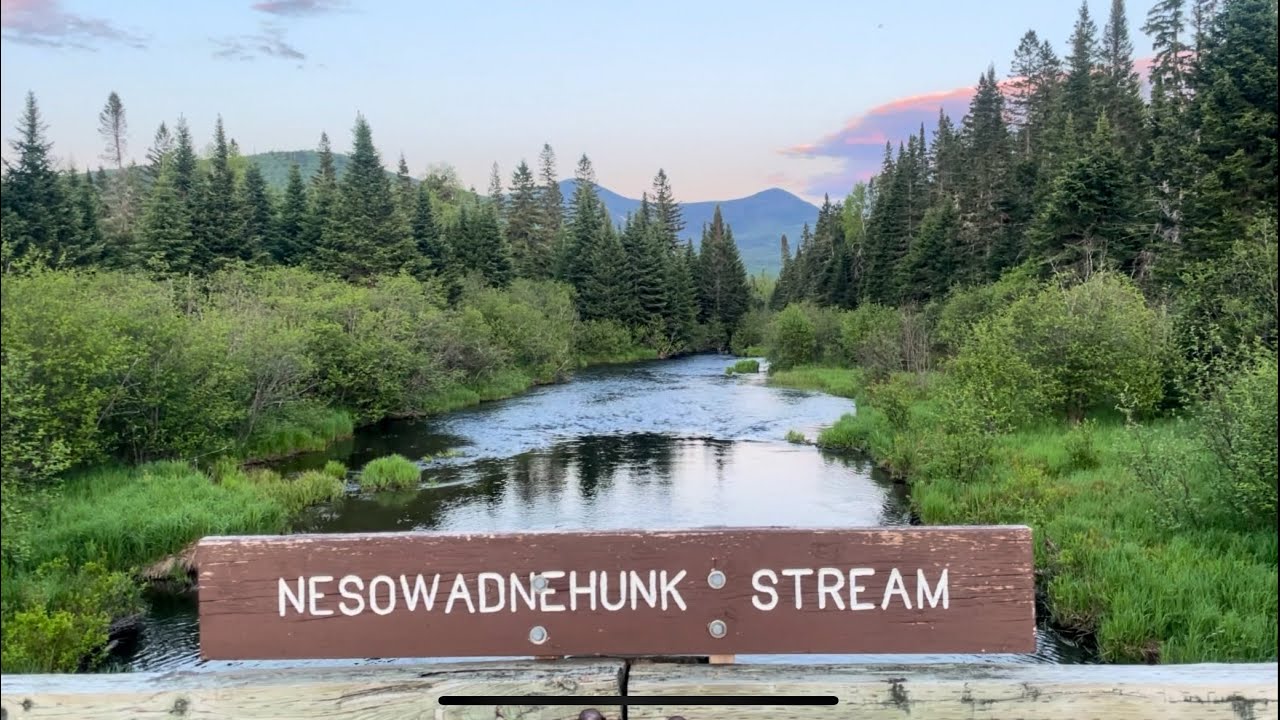 Fly Fishing the Nesowadnehunk stream in Baxter state park!! (Part 2)
