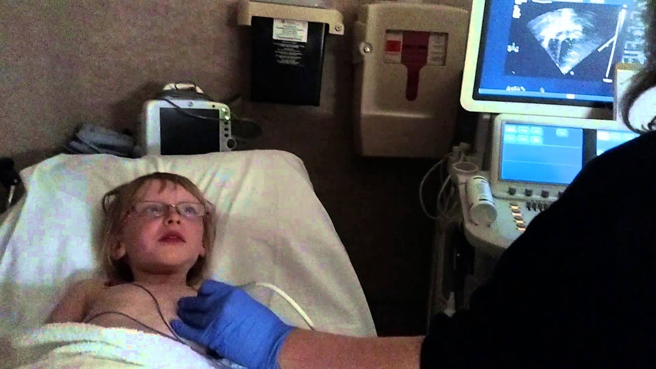 Child's heart echo cardiogram