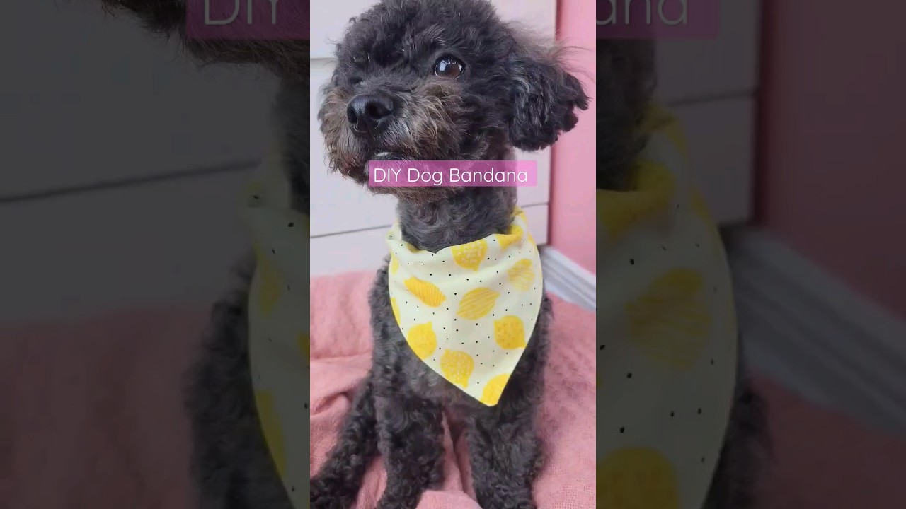 How To Sew an Over The Collar Dog Bandana