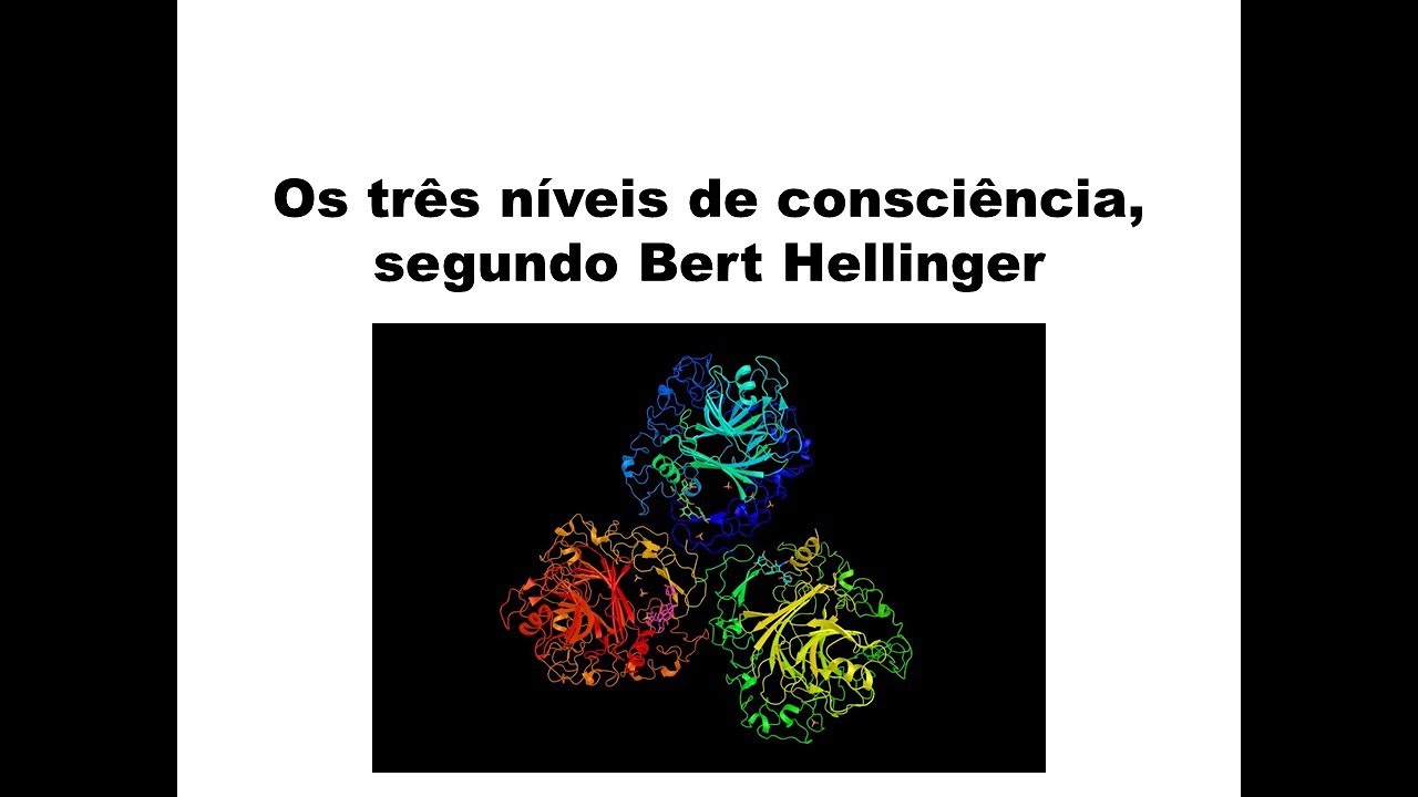 Os três níveis de consciência, segundo Bert Hellinger | CONSTELAÇÃO FAMILIAR