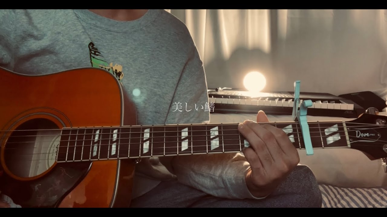 美しい鰭/スピッツ 弾き語りcover