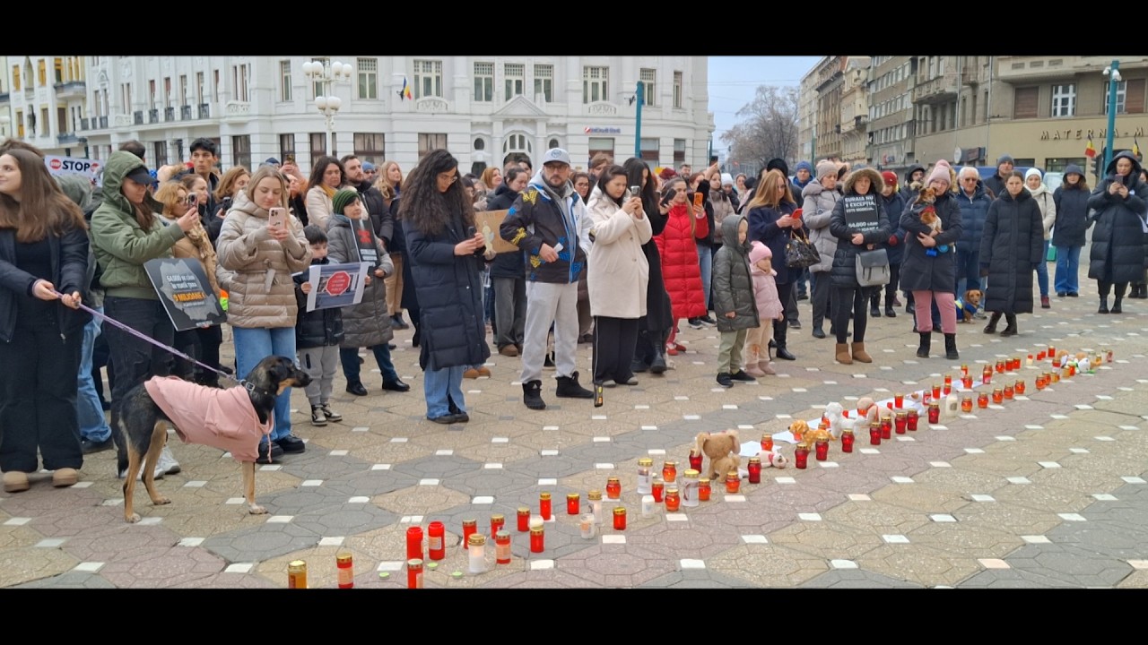 Protest pentru eliminarea eutanasierii animalelor fără stăpân