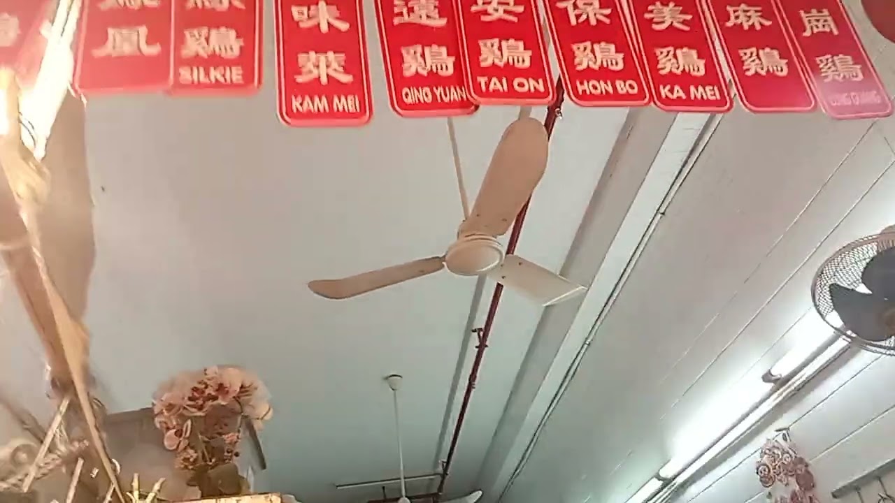 SMC industrial series K48 ceiling fan & KDK wall fan by chicken shop