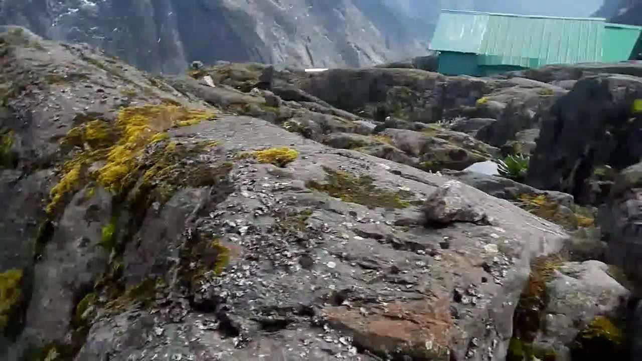 Costin Miu, David Neacsu & Co pe Margherita Peak (5109m), in Uganda, ianuarie 2012