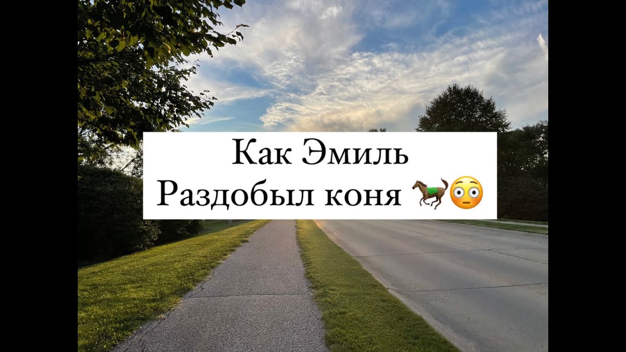 #15 АУДИОСКАЗКА/Эмиль из Леннаберги/КАК ЭМИЛЬ РАЗДОБЫЛ КОНЯ