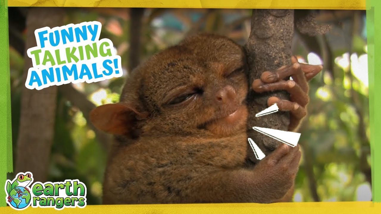 Funny Talking Animals | Earth Rangers