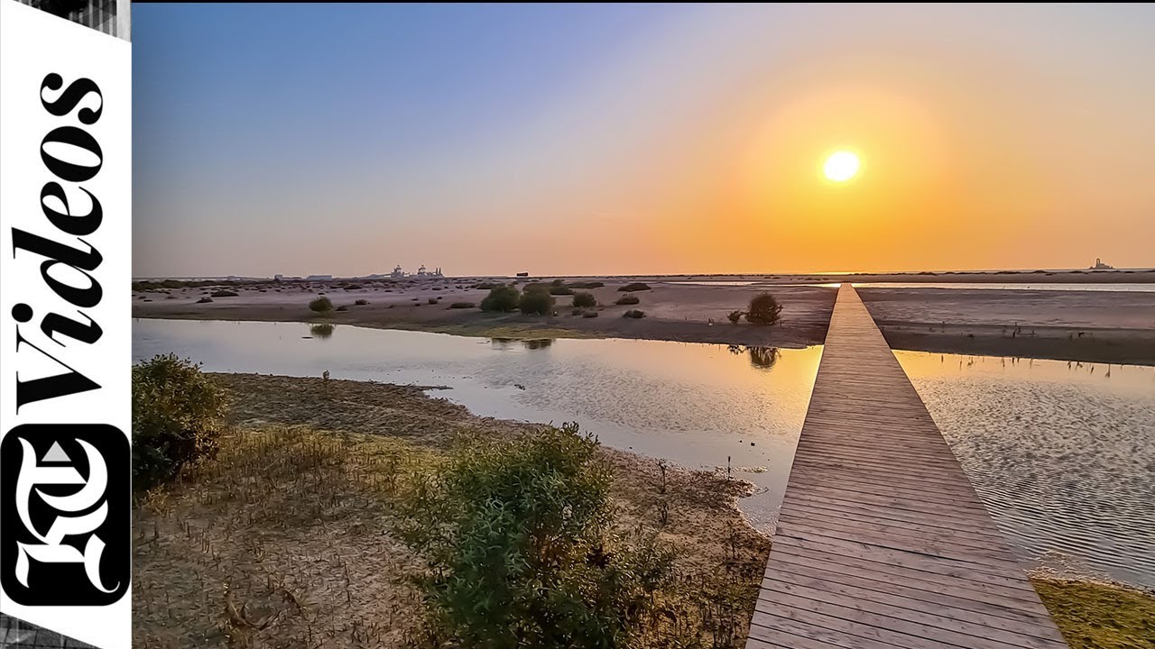 Dubai gets a stunning new mangrove forest