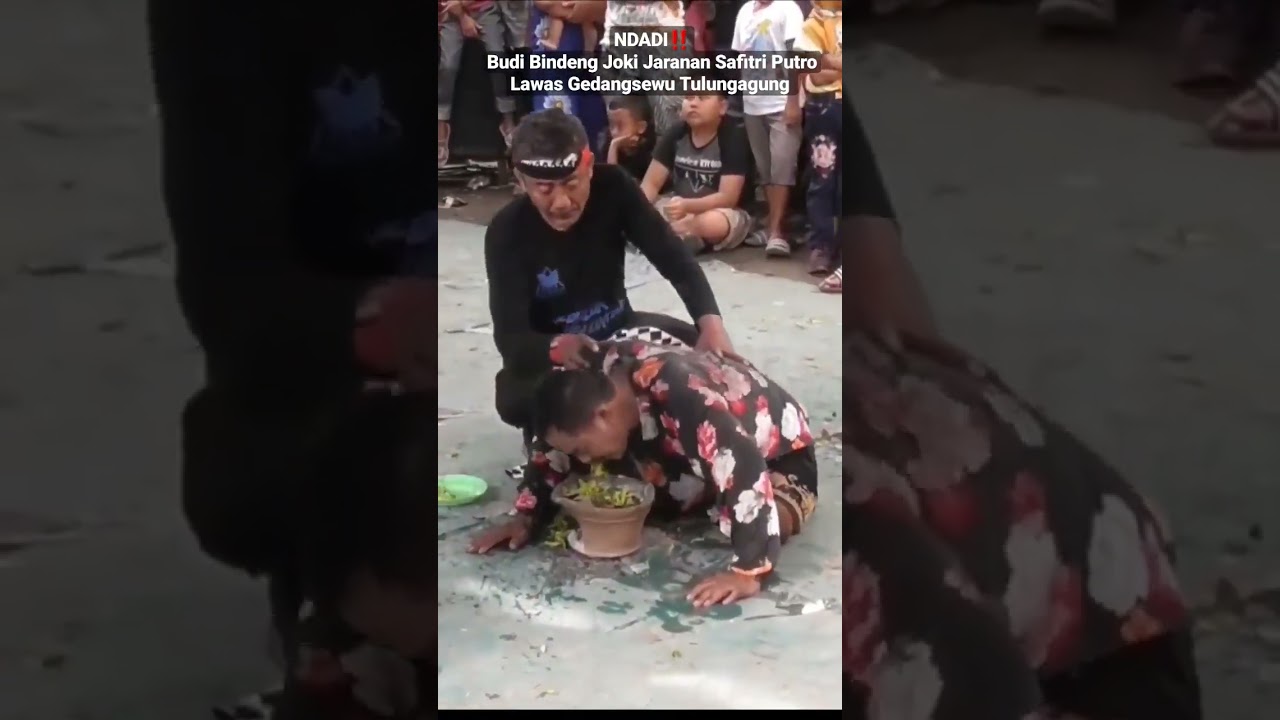 NDADI‼️Budi Bindeng Joki Jaranan Safitri Putro Lawas Gedangsewu Tulungagung #shorts #fyp #viral
