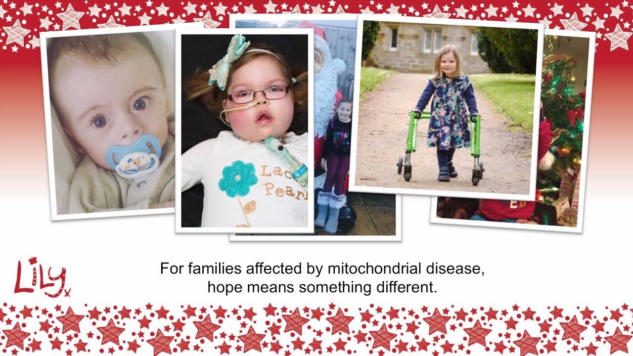 The Lily Foundation Gift of Hope Appeal