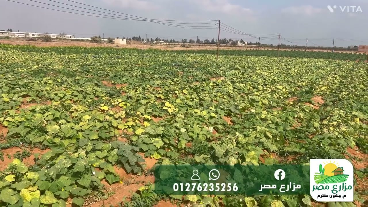 مزرعة ٤.٥ فدان مسجلة شهر عقاري علي طريق ابو غالب الكيلو ٥٨ طريق مصر اسكندرية امام الريف الأوروبي