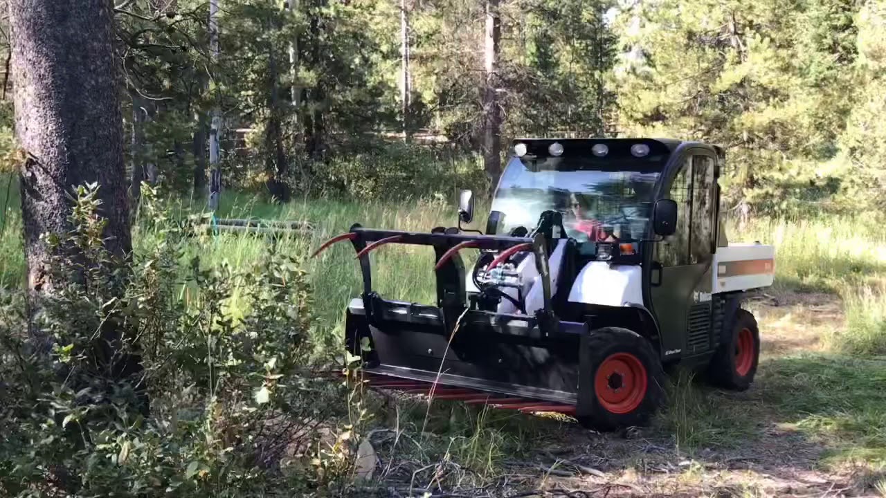 Log work with 2019 Toolcat
