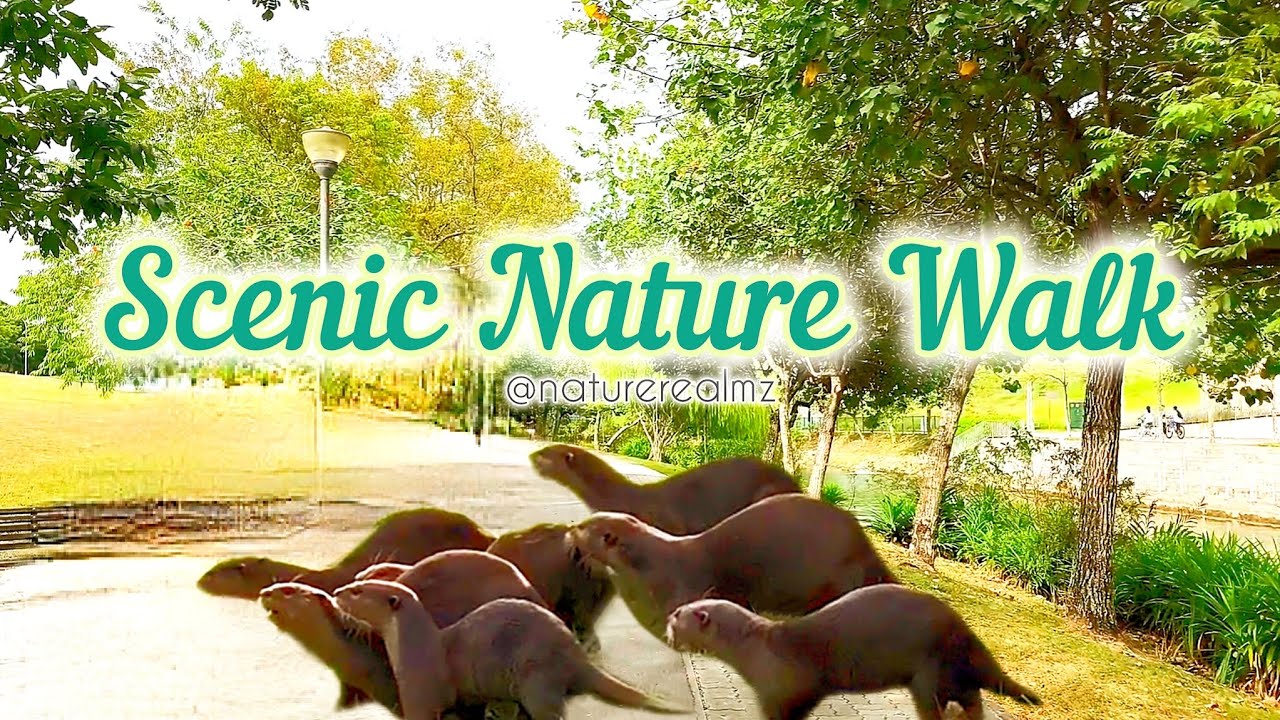 Scenic Nature Walk: Otters, Birds & Calming Sea views