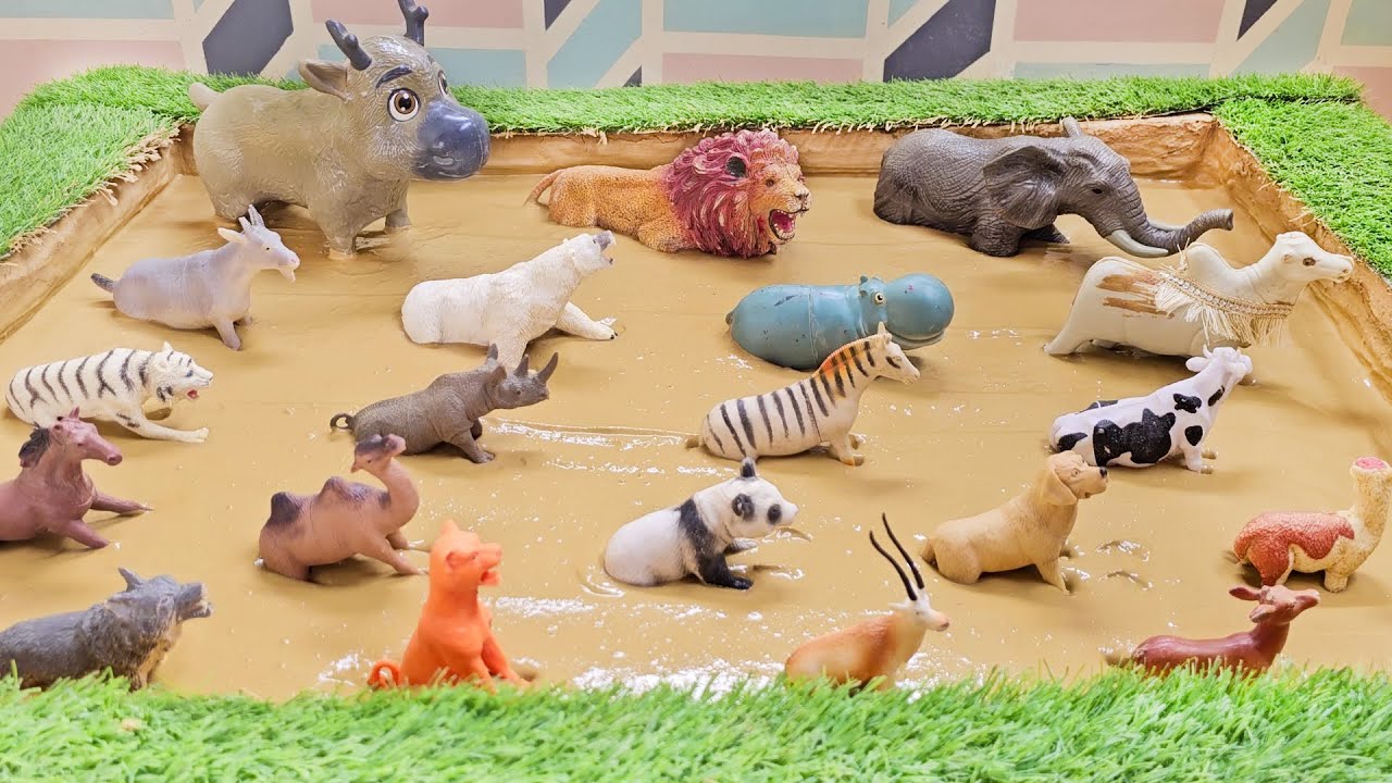 Get Dirty and Discover: Safari, Farm and Jungle Animals Together!