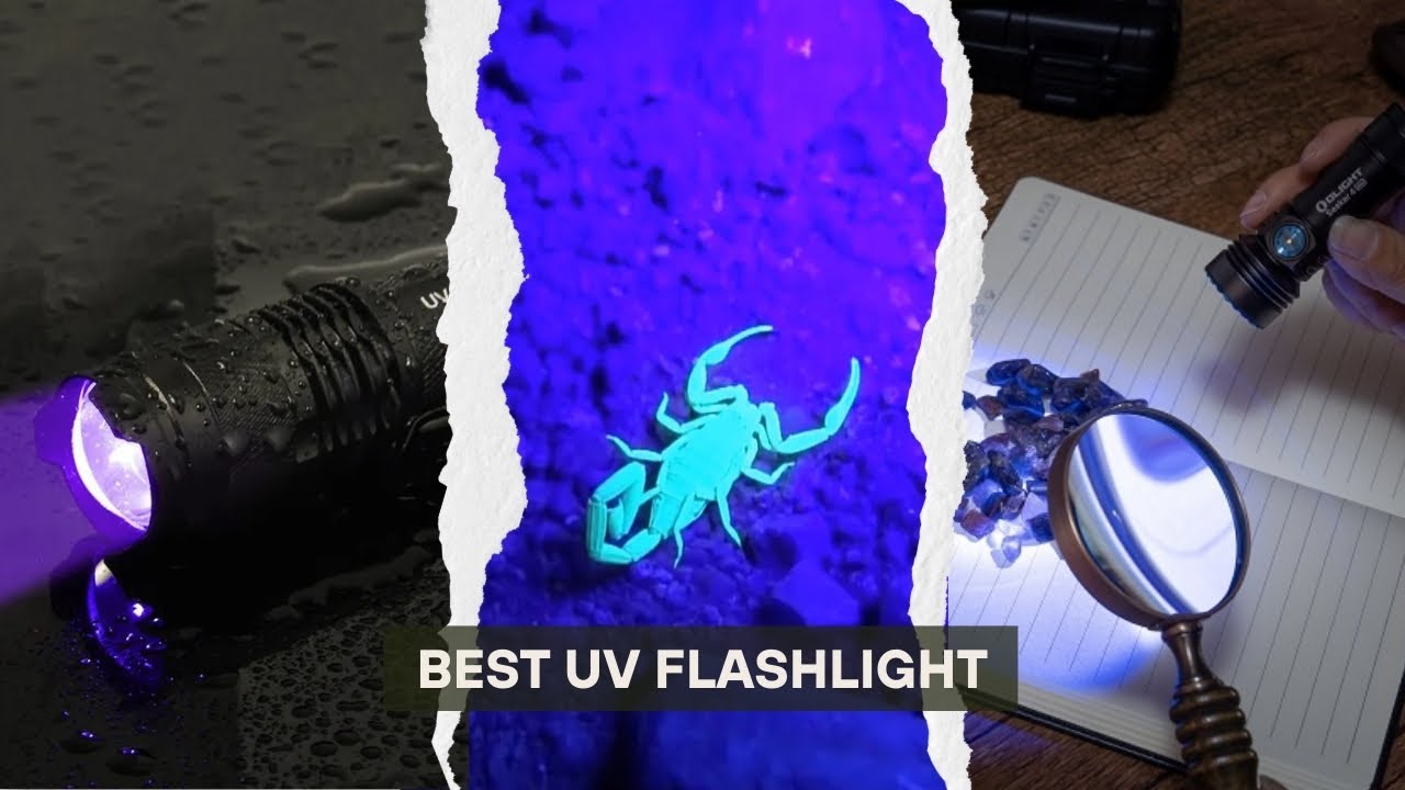 5 Best UV Flashlights 2025! Find Hidden Stains & More!