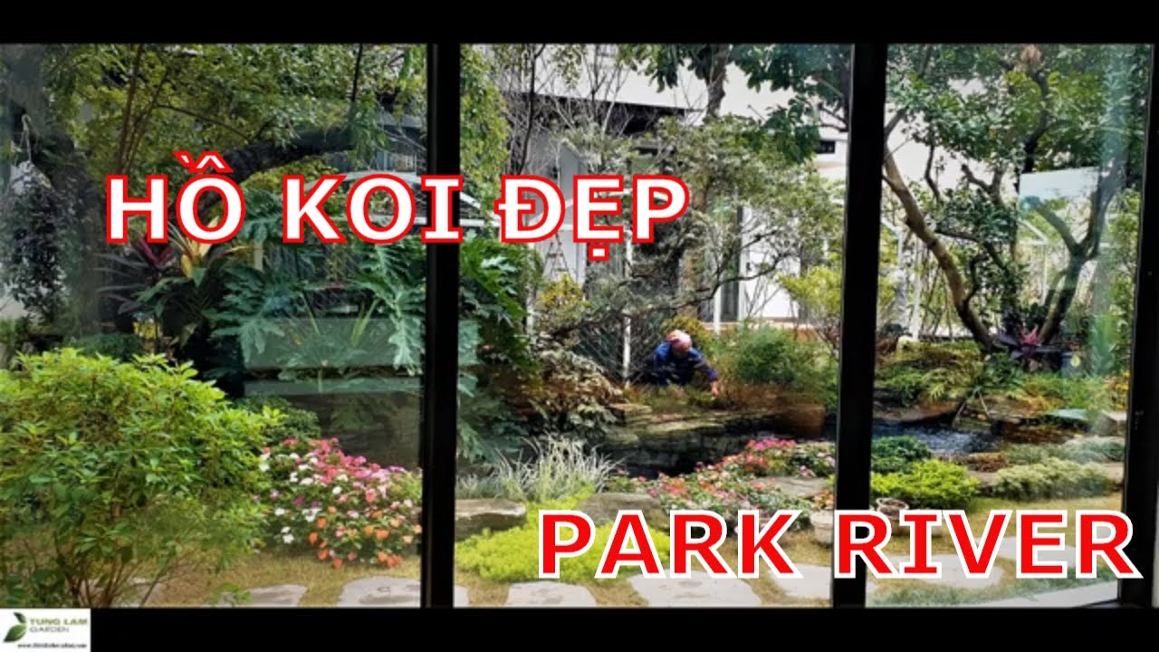 ✅KOI.134-Chia sẻ quá trình thi công hồ cá Koi ngoài trời đẹp ở Park River, Ecopark/TungLam Garden