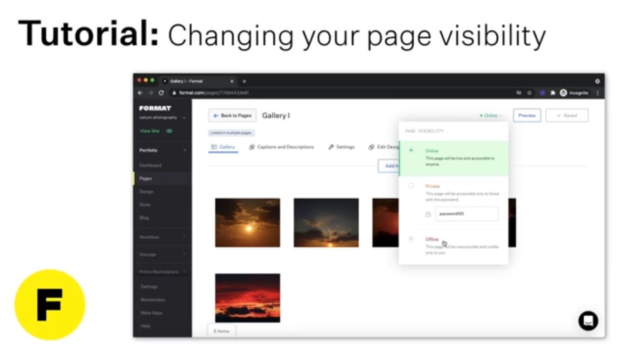 How to Adjust Page Visibility on Your Format Website