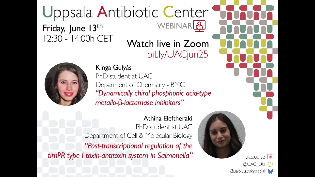 Post-transcriptional regulation of the timPR type I TA system in Salmonella - A. Eleftheraki