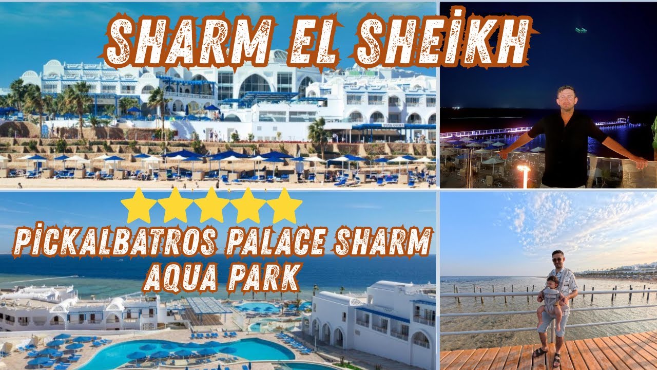 Влог Pickalbatros Palace Sharm - Шарм-эль-Шейх 🌴