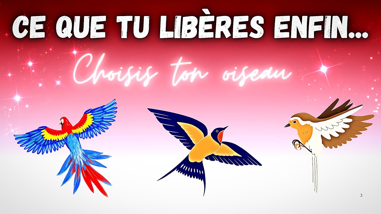 CE QUE TU LIBÈRES ENFIN 💫🕊️ #guidance #cartomancie #mariecartomancieetcompagnie 🧙‍♀️