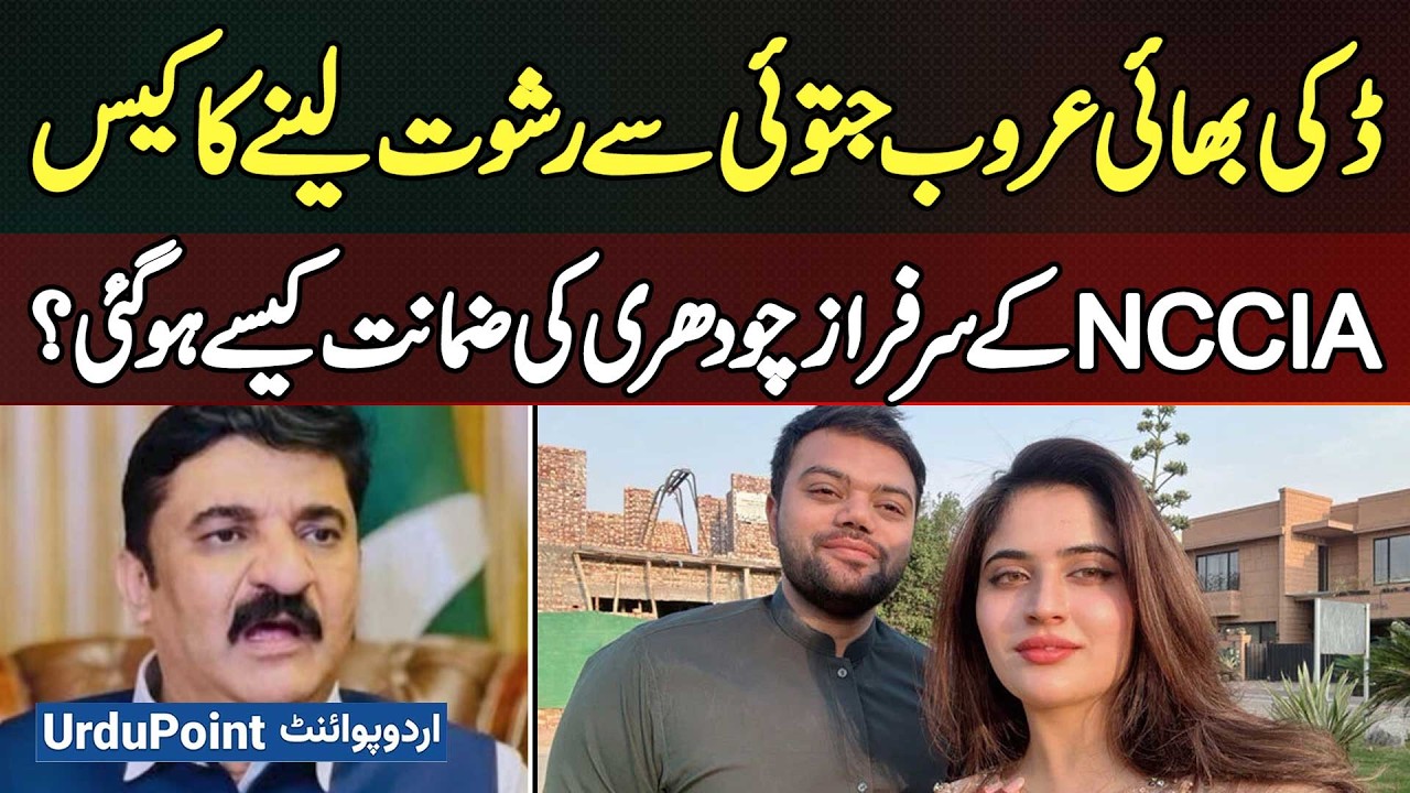 How NCCIA Officer Sarfraz Chaudhry, Accused in Ducky Bhai And Aroob Jatoi Bribery Case Got Bail?