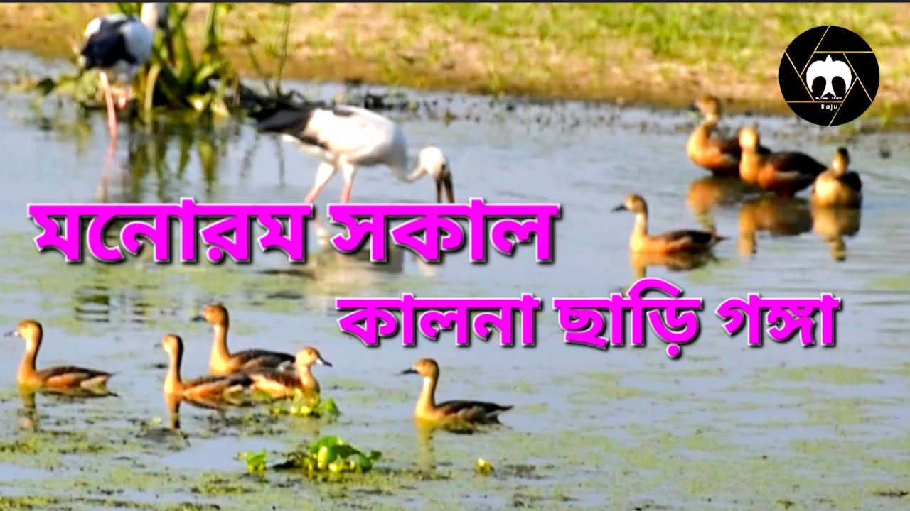 কি মনোরম দৃশ্য চোখে না দেখলে বিশ্বাস করা যাবে না। শেষের দিকটা আরো ভালো