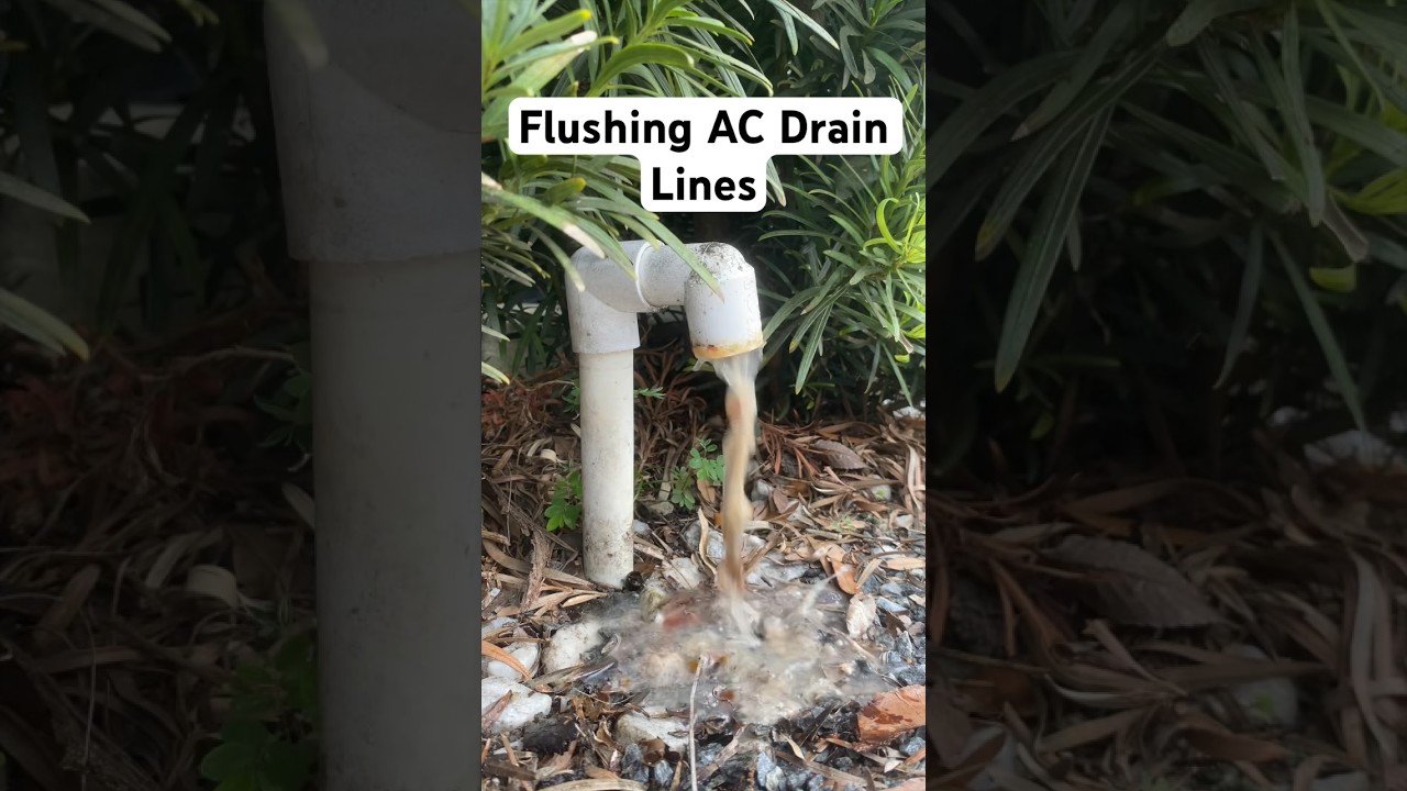 AC Drain Cleaning! | Flush Condensate Drain Line | AC Maintenance