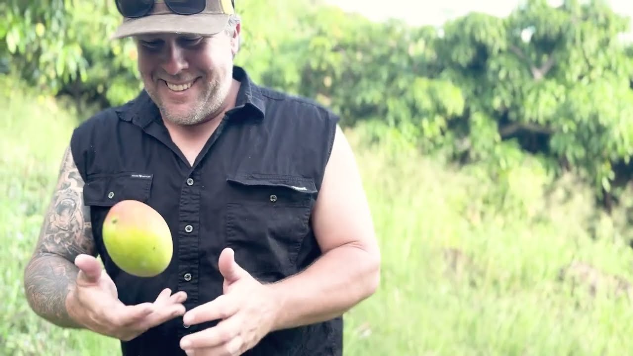 We Bought a Mango Farm With No Experience (What Were We Thinking?)