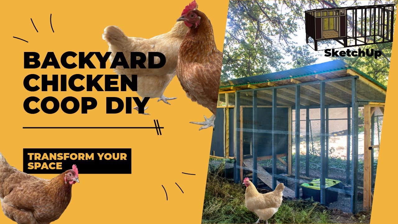 I Built the Ultimate Chicken Coop in Just 2 Weeks! My Backyard DIY #Backyard #Homestead #DIY