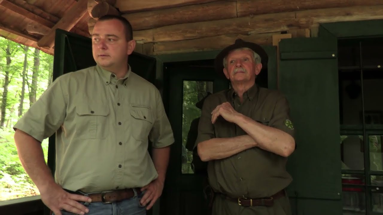 A visegrádi bölények