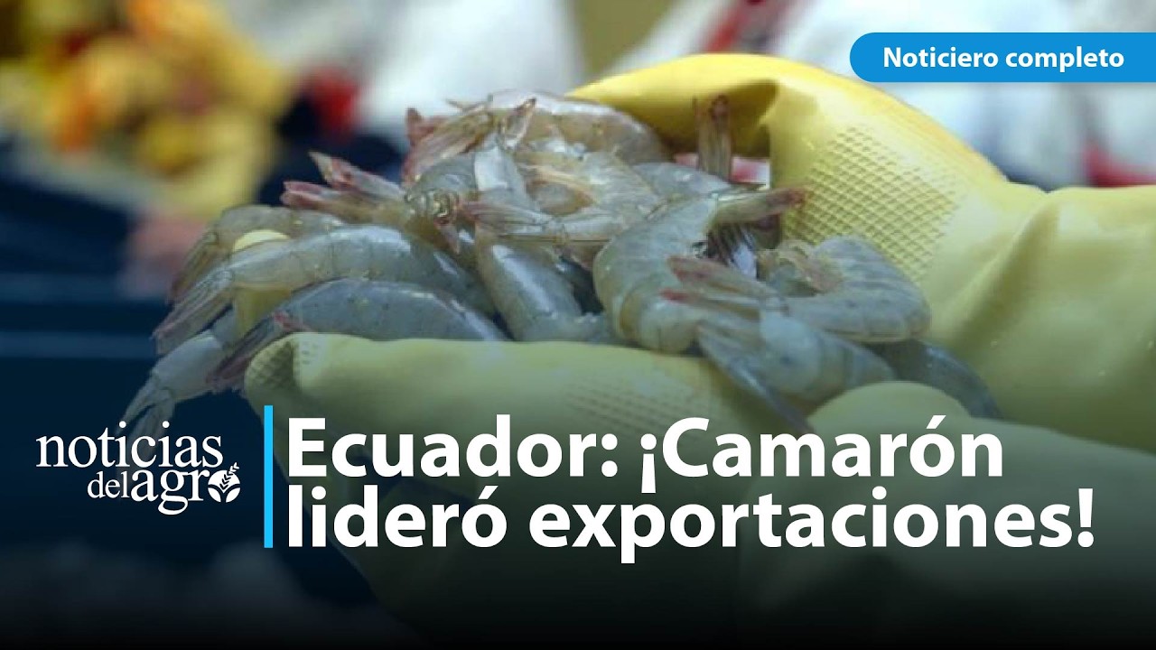 Exportaciones no tradicionales de Ecuador marcaron récord en 2025