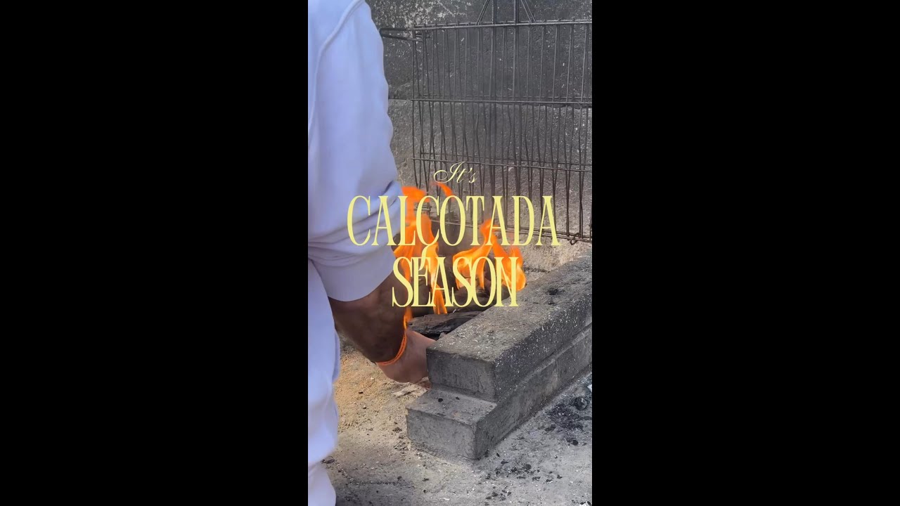 Edits_Cal_otada_1_20260216_135516.mp4