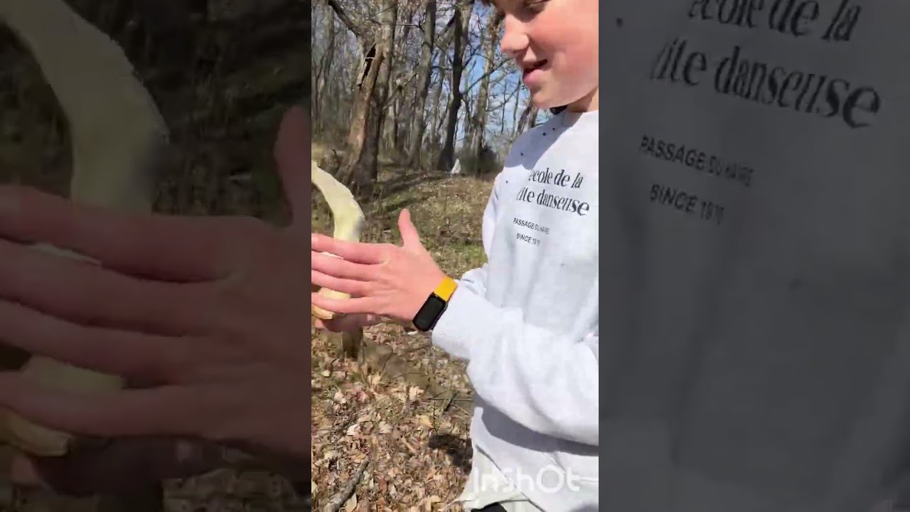 Backyard bone hunting!! Watch till the end!🤯💀