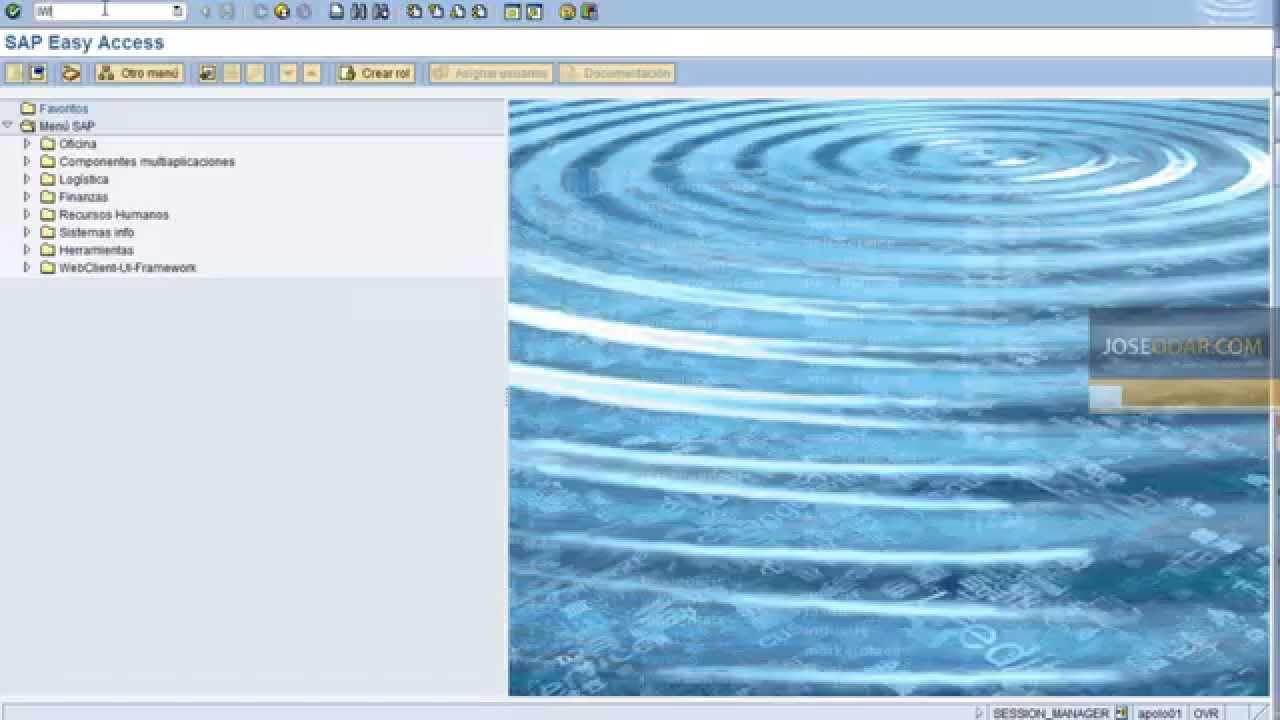 05 01.- Gestión de Avisos - SAP PM Plant Mantenance (Mantenimiento de Planta)