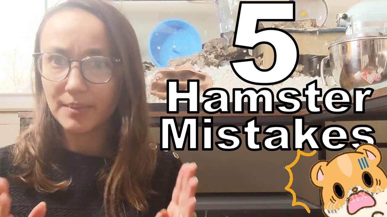5 Common Hamster Mistakes