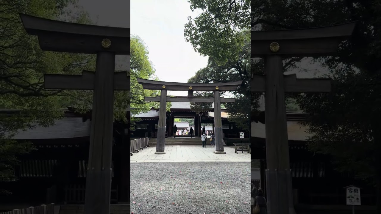 Meiji Shrine Japan! Just 1min with no narration! Enjoy like you are there! 