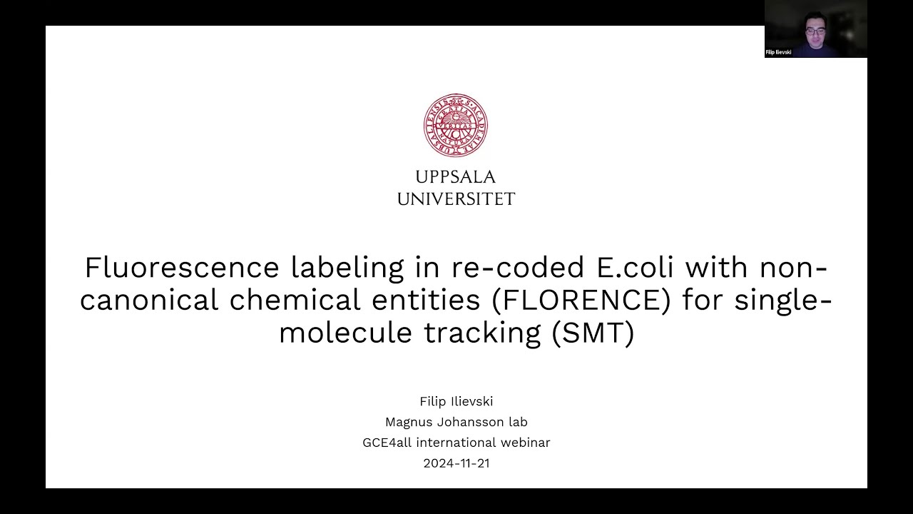 Fluorescence labelling of re-coded E.coli w/ non-canonical chem. entities for single mol. tracking