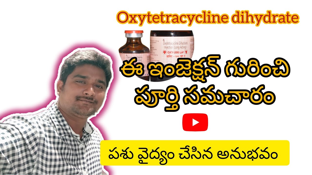 oxytetracycline dihydrate injection uses/ఆక్సీటేట్రా సైక్లిన్ ఇంజెక్షన్ ఉపయోగాలు
