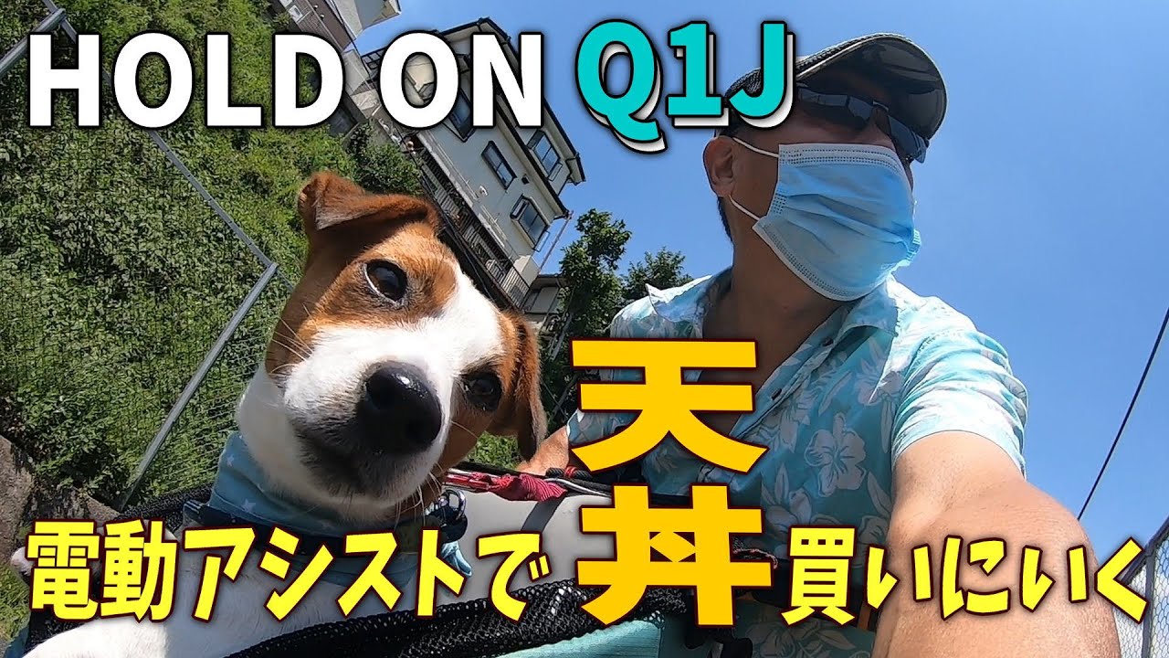 【HOLD ON withPIXY】電動アシスト自転車で天丼買いに行った。100均の便利グッズも紹介するよ。Living with 🐶🚲