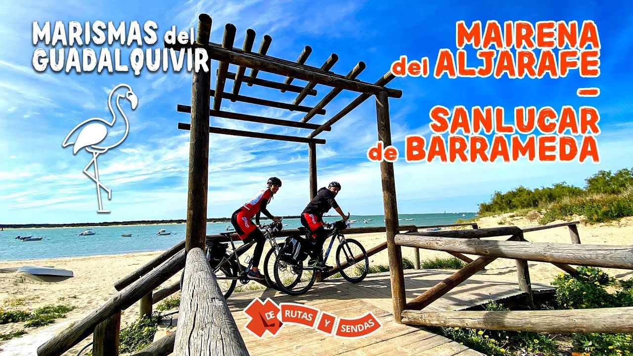 MAIRENA del ALJARAFE - SANLÚCAR de BARRAMEDA · Ruta por las Marismas del Guadalquivir 🦩🌿