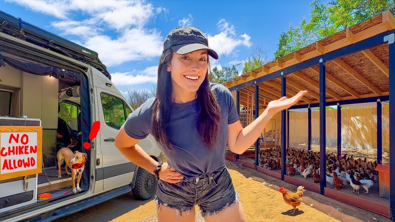 Final Stretch Building this Backyard Coop | My Van is Smaller Than My Chicken's Home! 