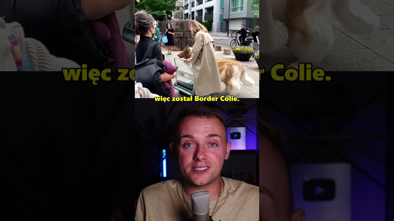 Człowiek Identyfikujący Się Jako Pies