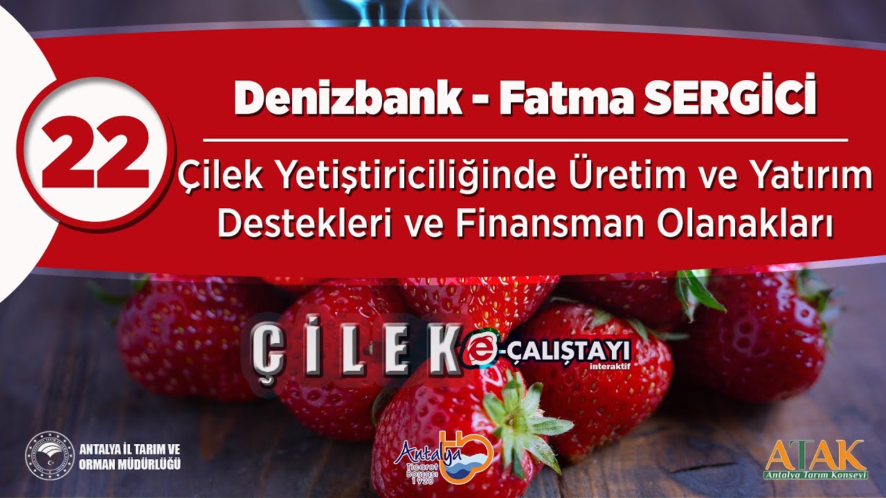 22 Çilek E-Çalıştayı - Çilek Yetiştiriciliğinde Üretim ve Yatırım Destekleri ve Finansman Olanakları