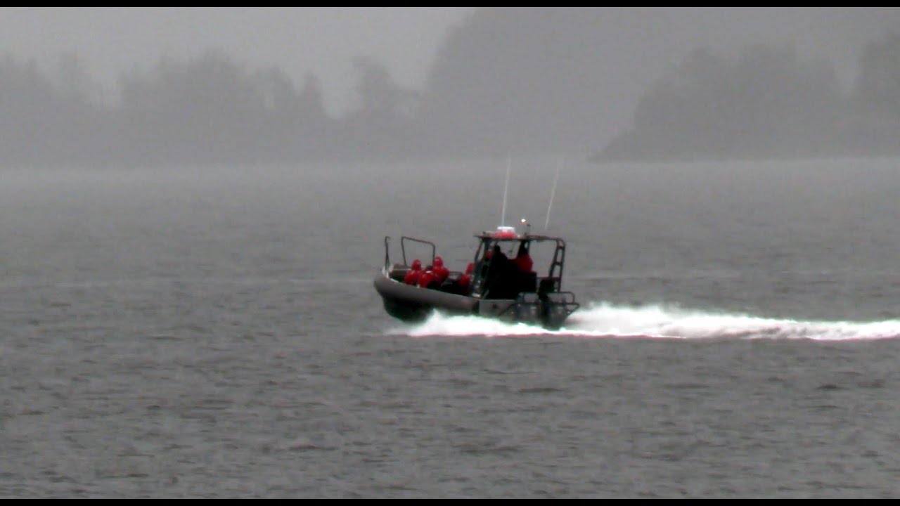 062 British Columbia... Port Hardy - sea lions and whales