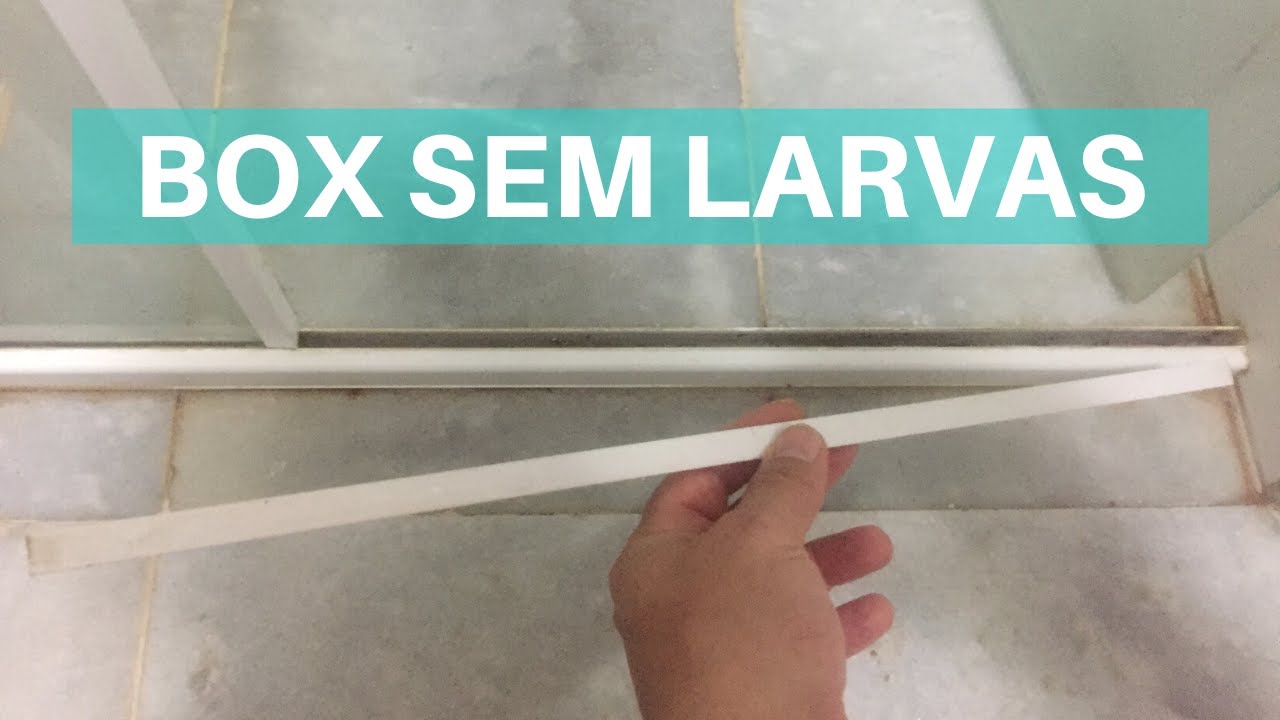 Como eliminar as larvas que se formam no trilho do box do banheiro