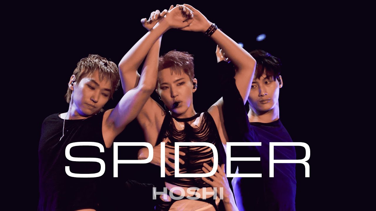 [4K] 250823-250824 HOSHI X WOOZI FAN CONCERT [WARNING] - 스파이더 SPIDER 광주 호우콘 호시 직캠 Hoshi fancam